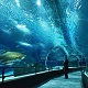 Maior aquário marinha da América do Sul